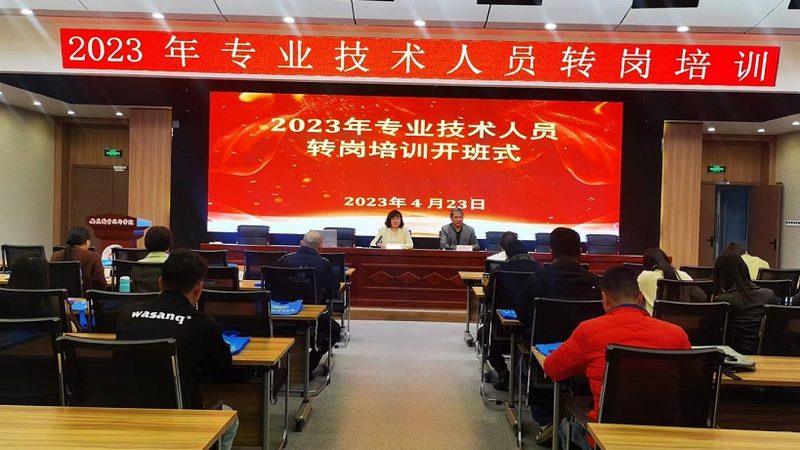 小标题：定制开发报价的影响因素